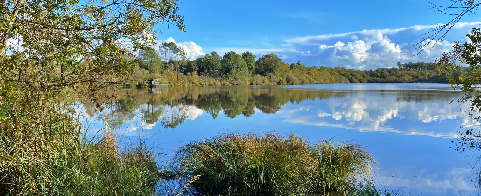 retraite yoga Landes