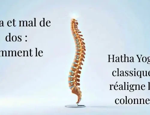 Yoga et mal de dos : comment le Hatha Yoga réaligne la colonne