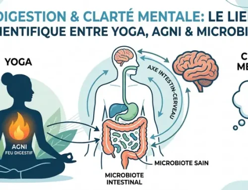Digestion et Clarté : Le lien scientifique entre le Yoga, l’Agni et votre microbiote