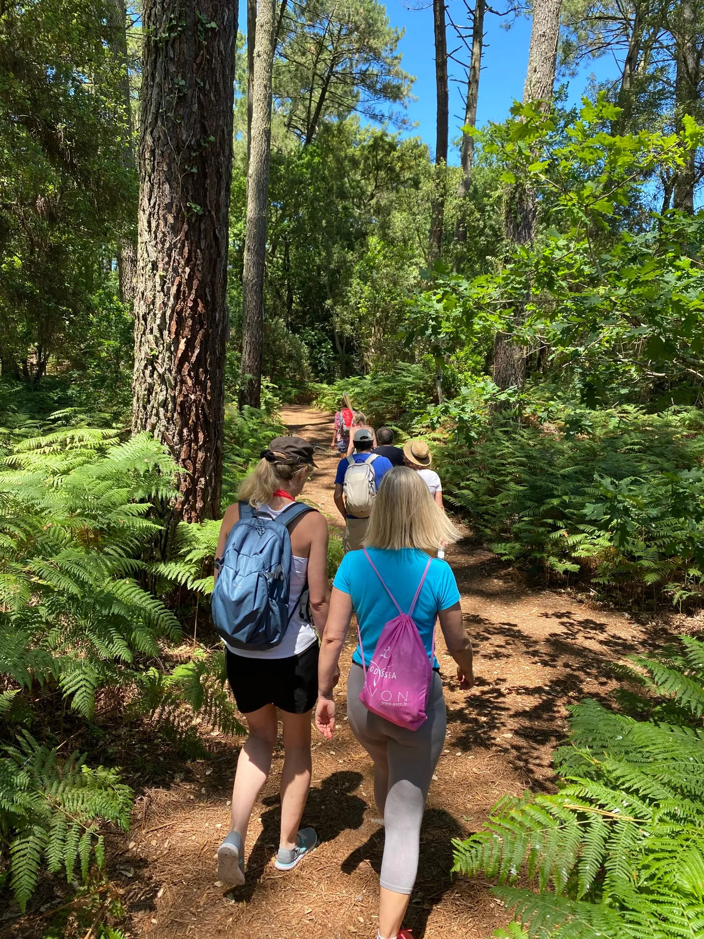 Balade en forêt de pins pendant la retraite Transformation intérieure à Moliets